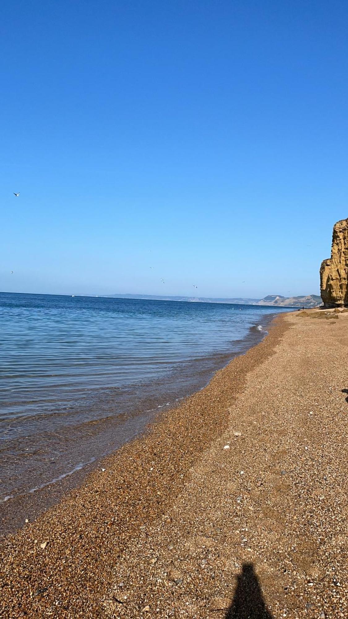 Golden Acre Jurassic Coastal Lodges ,Eype Bridport Eksteriør billede